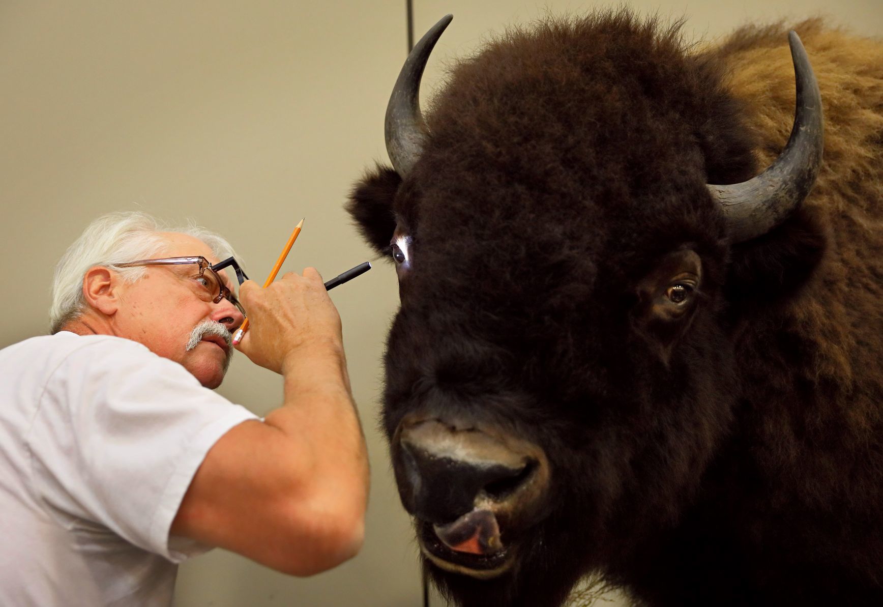 2019 World Taxidermy & Fish Carving Championships in Springfield, Mo.